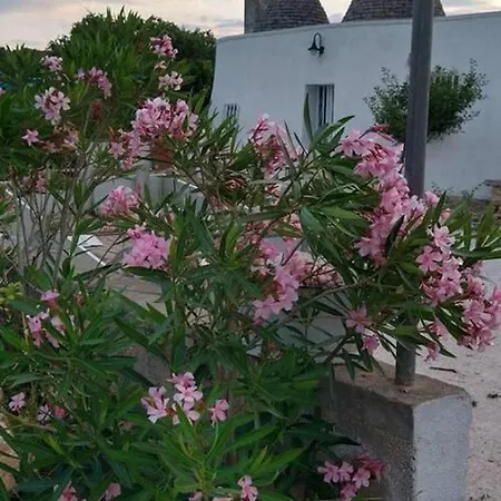 Villa - Sleeps 8 - Patio - Garden - Parking Villa Martina Franca